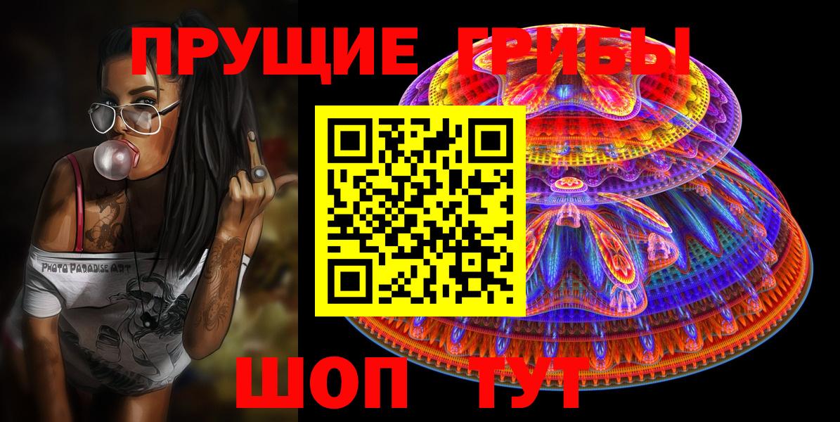 Курчатов  Псилоцибиновые грибы Magic Shrooms  Вход с VPN  Галлюциногенные грибы Magic Shrooms 